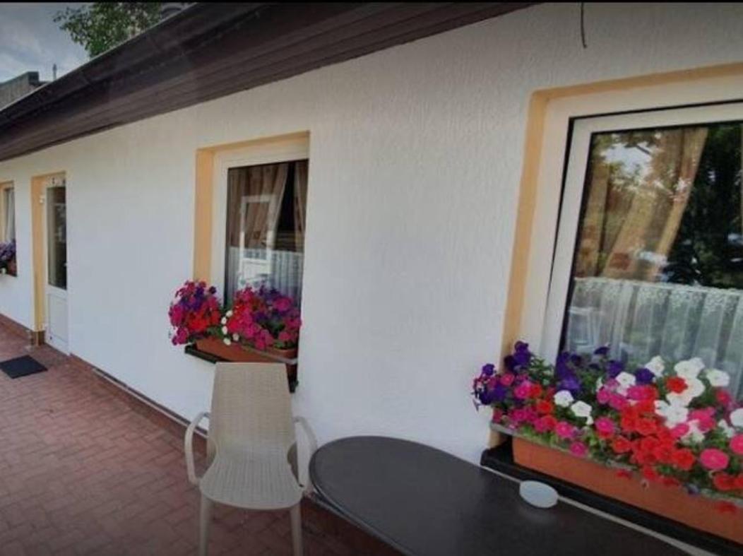 Schoene Geraeumige Ferienwohnung Am Park Герінгсдорф Екстер'єр фото